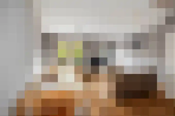 Leonard Springerlaan 205 Deventer thumbnail 7