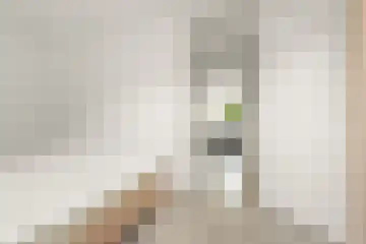 Leonard Springerlaan 212 Deventer thumbnail 18