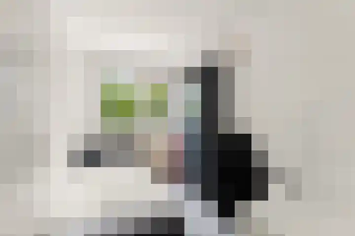 Leonard Springerlaan 212 Deventer thumbnail 19