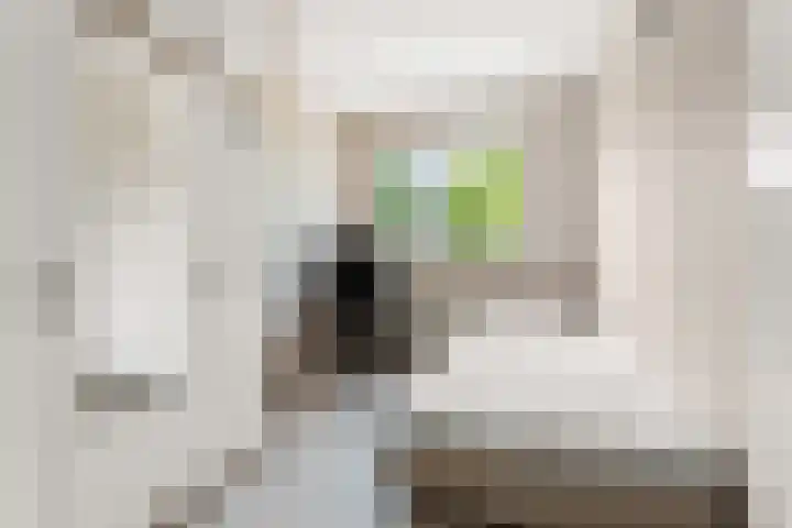 Leonard Springerlaan 212 Deventer thumbnail 21