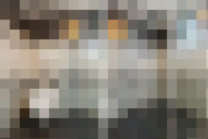 Leonard Springerlaan 212 Deventer thumbnail 23