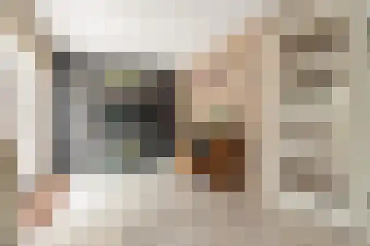Leonard Springerlaan 212 Deventer thumbnail 7