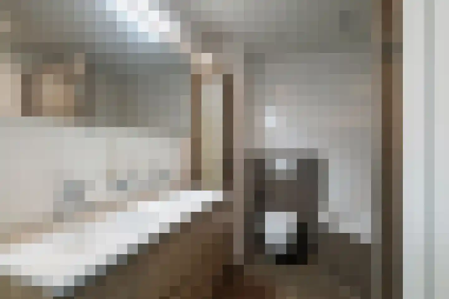 Leonard Springerlaan 238 Deventer thumbnail 17