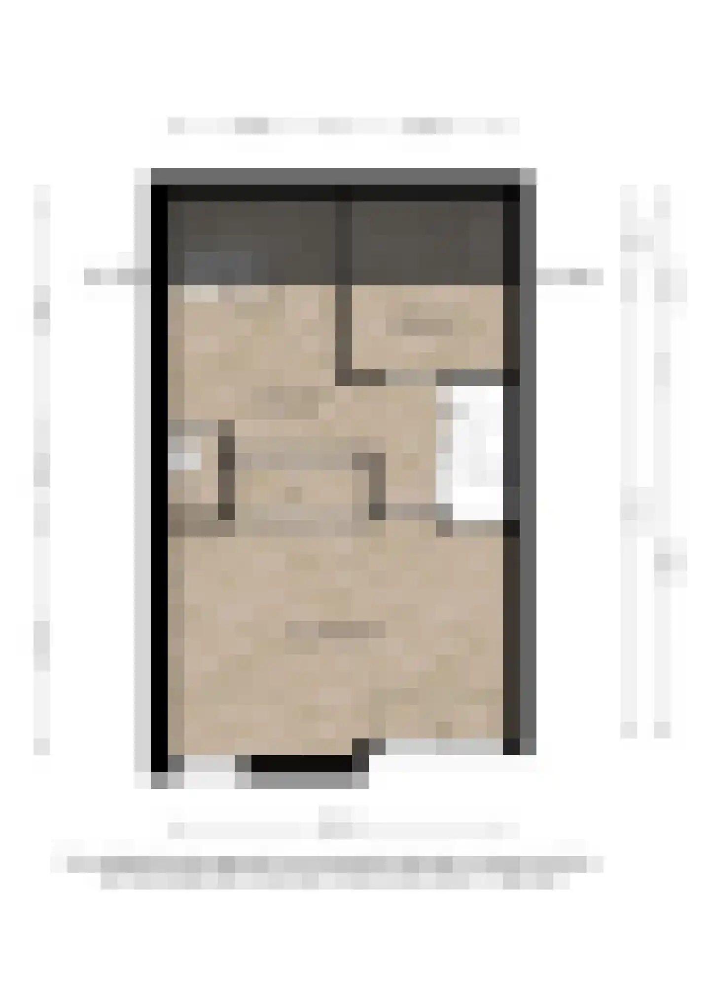 Leonard Springerlaan 238 Deventer thumbnail 35