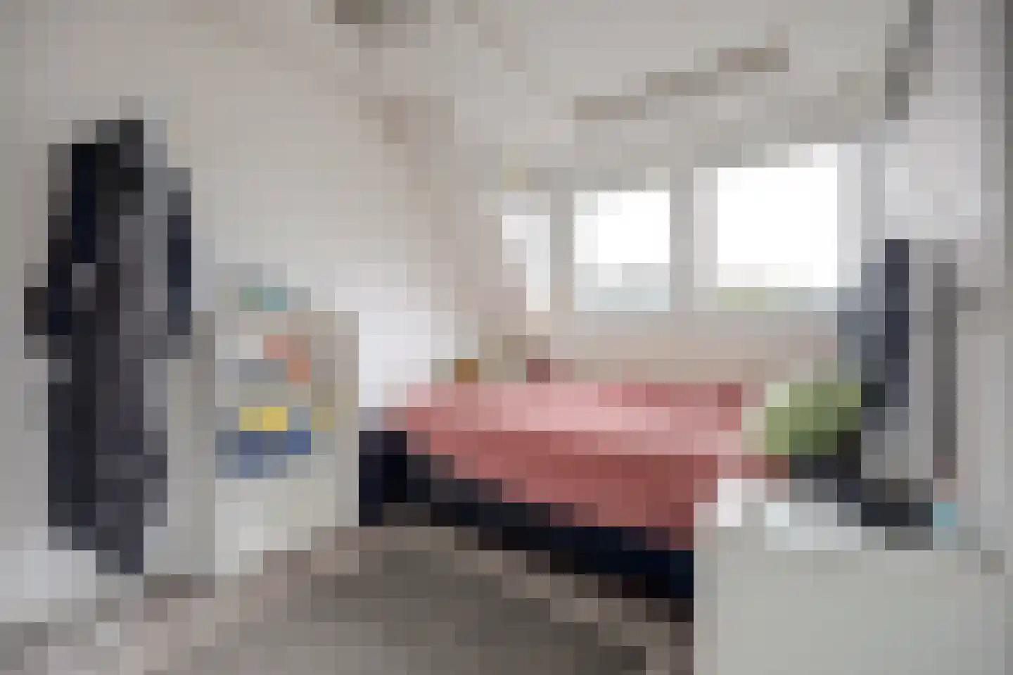 Leonard Springerlaan 250 Deventer thumbnail 22