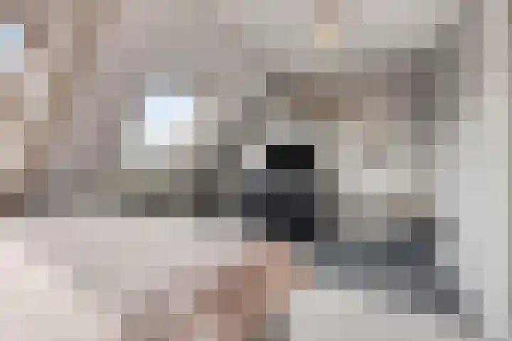 Leonard Springerlaan 252 Deventer thumbnail 18