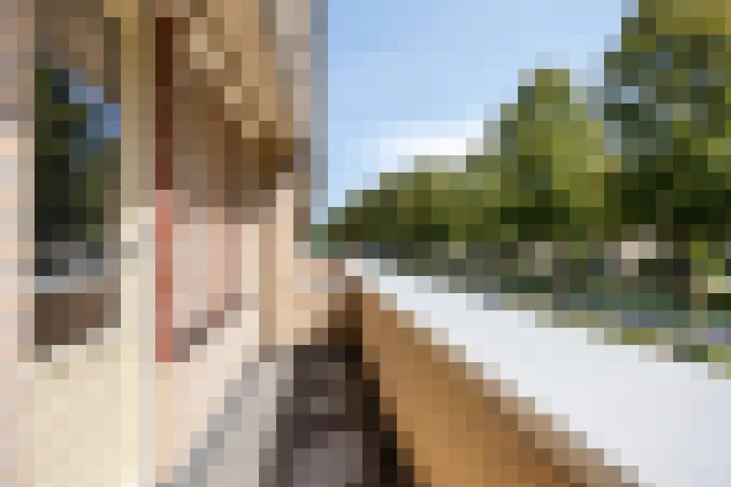 Leonard Springerlaan 29 Deventer thumbnail 21