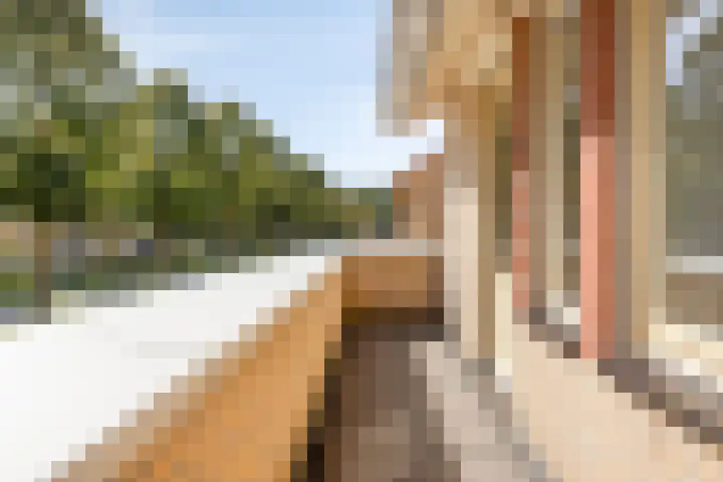 Leonard Springerlaan 29 Deventer thumbnail 22
