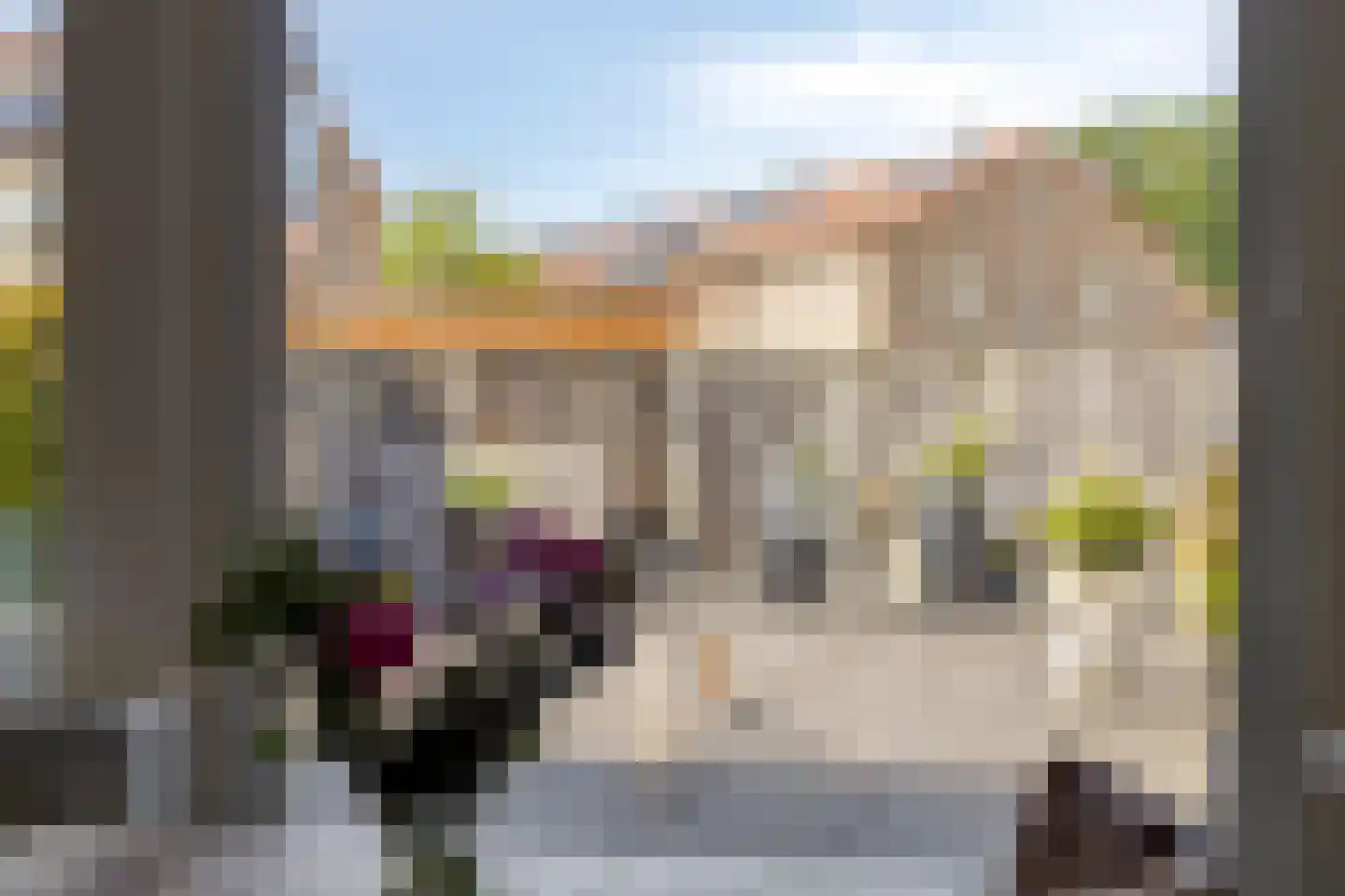 Leonard Springerlaan 29 Deventer thumbnail 28