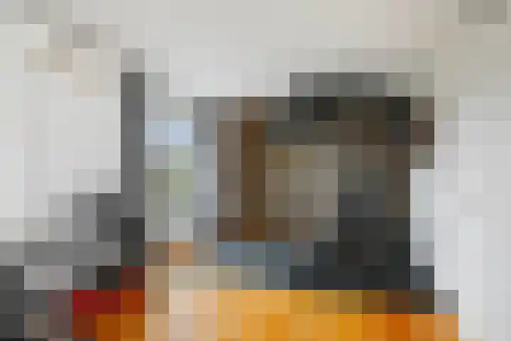 Leonard Springerlaan 299 Deventer thumbnail 30