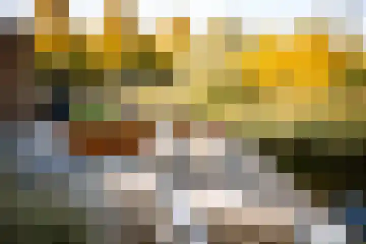Leonard Springerlaan 299 Deventer thumbnail 35