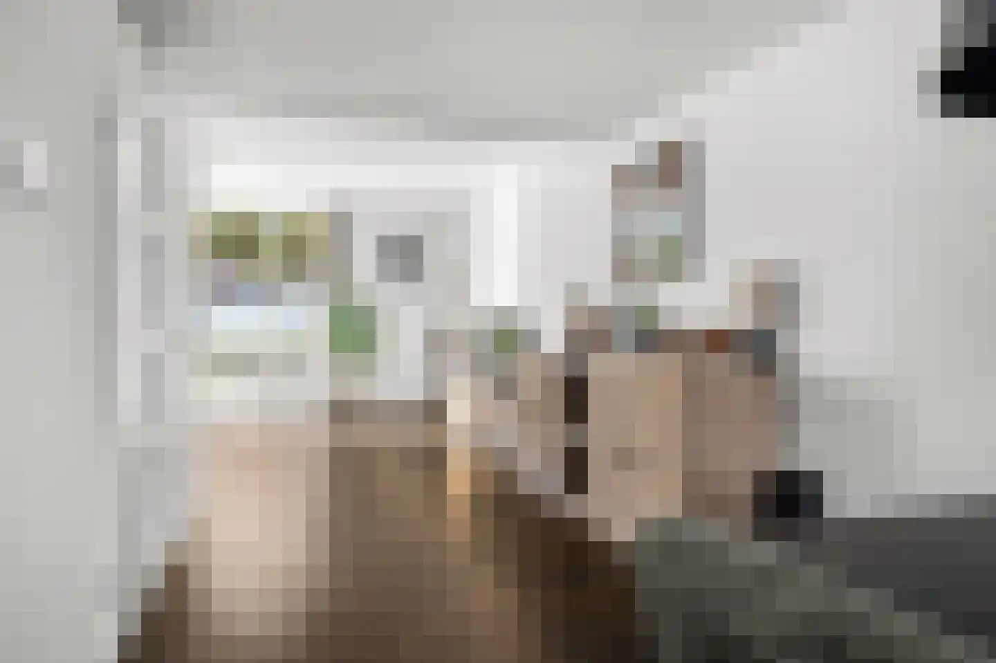 Leonard Springerlaan 303 Deventer thumbnail 5