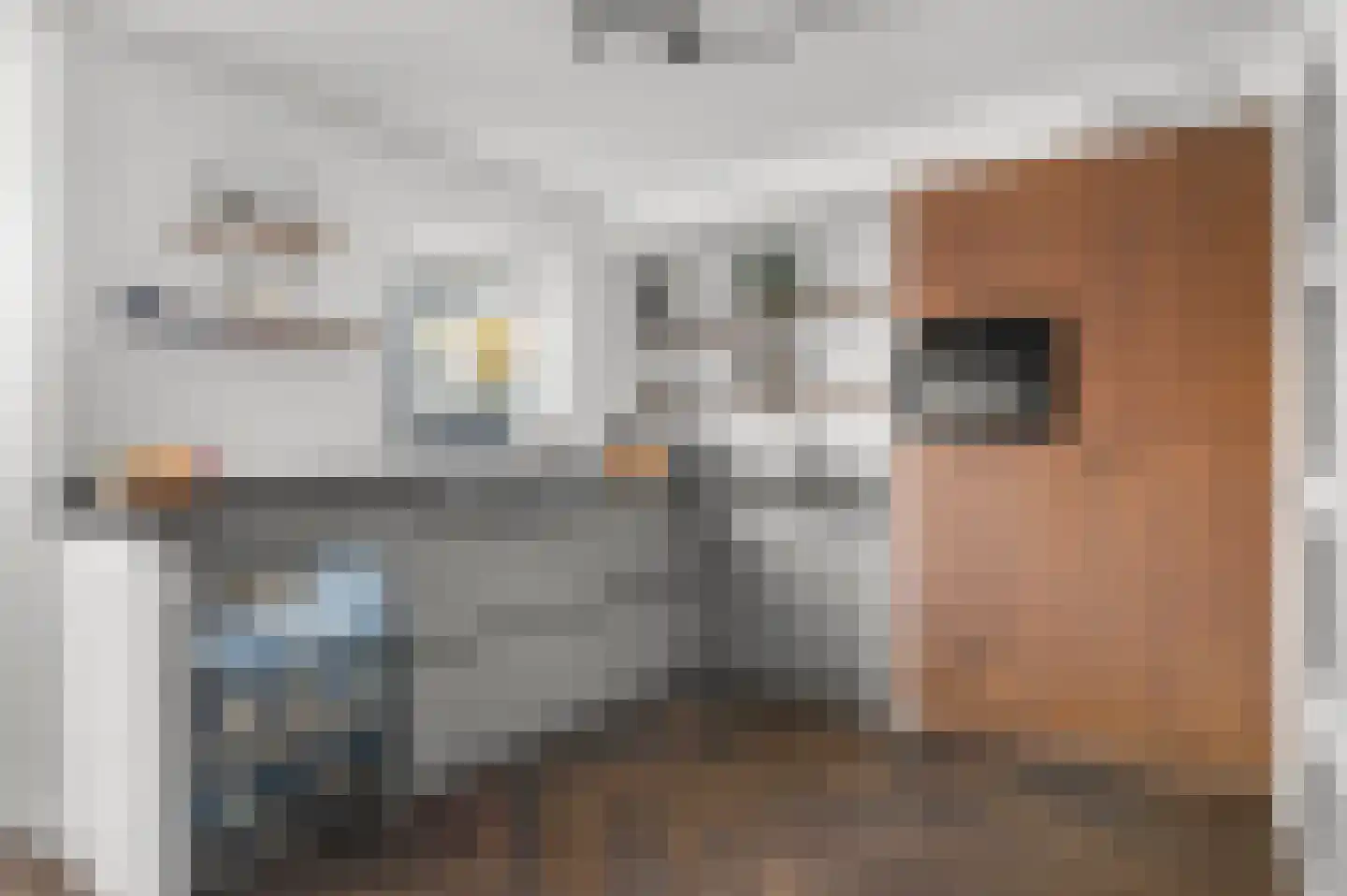 Leonard Springerlaan 303 Deventer thumbnail 9