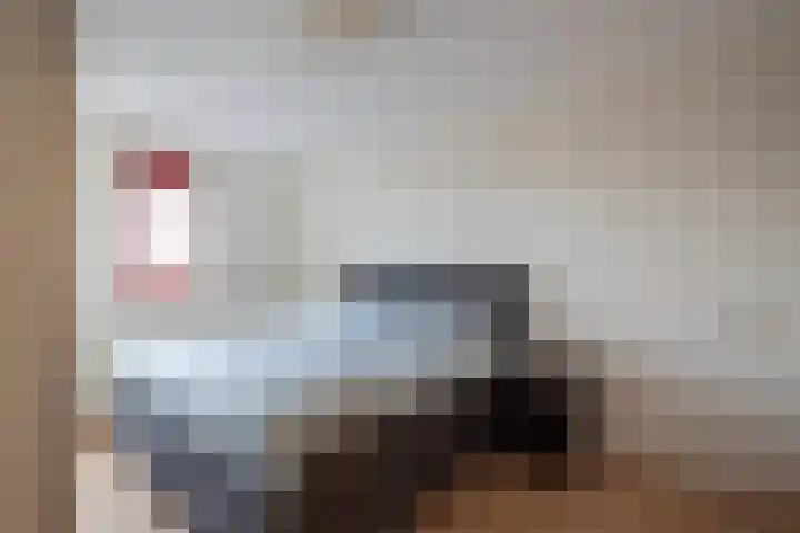 Leonard Springerlaan 31 Haarlem thumbnail 19