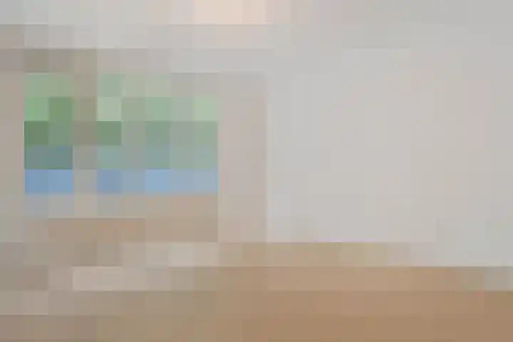 Leonard Springerlaan 35 13 Meppel thumbnail 6