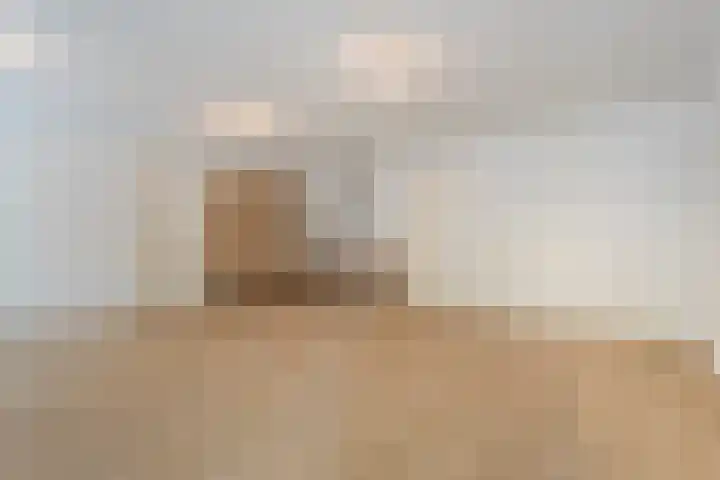 Leonard Springerlaan 35 13 Meppel thumbnail 7