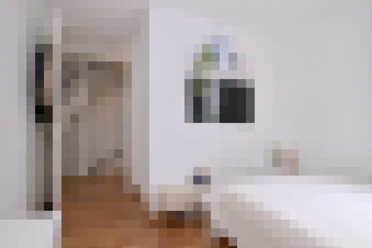 Leonard Springerlaan 404 Deventer thumbnail 17