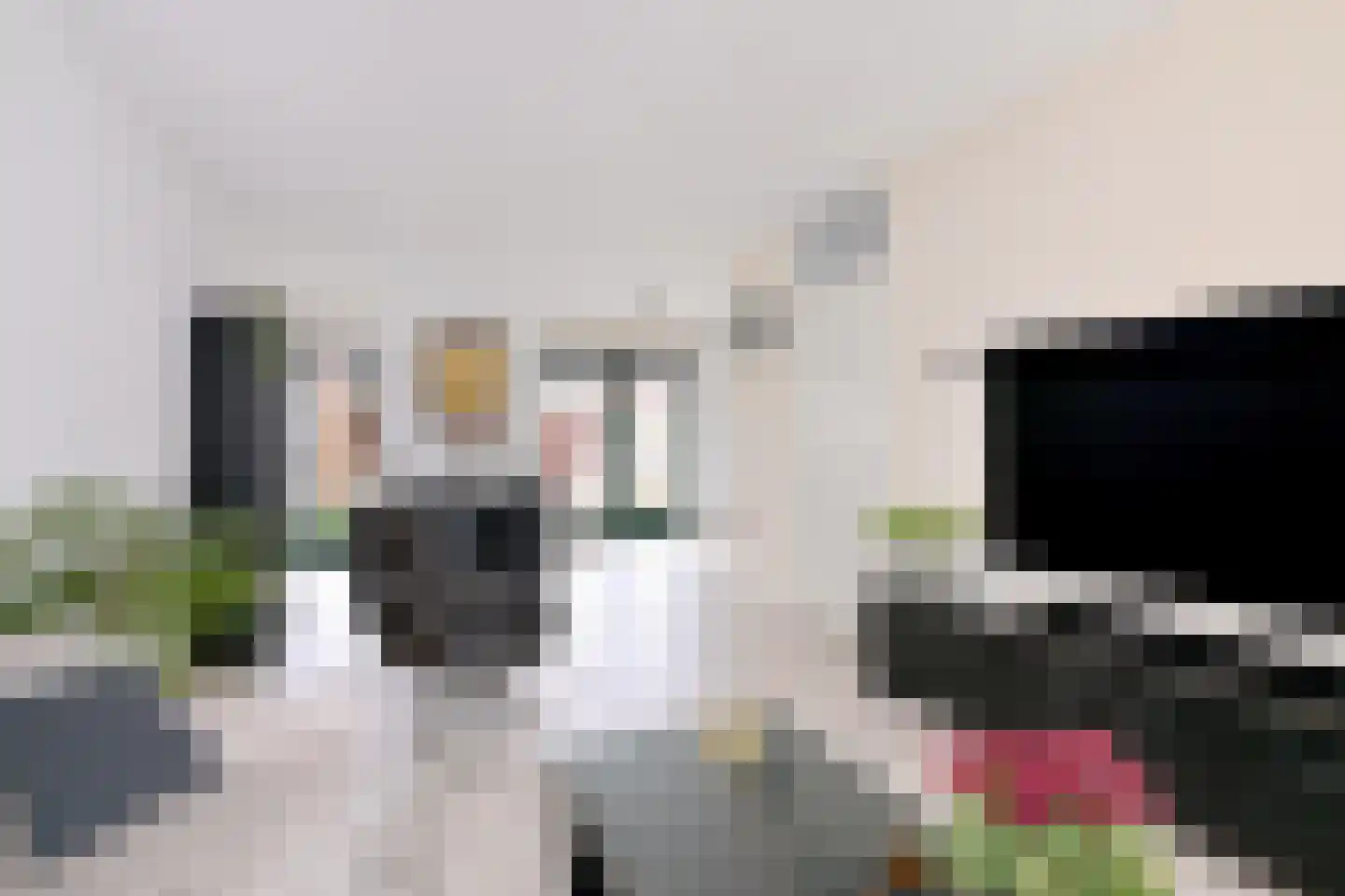 Leonard Springerlaan 404 Deventer thumbnail 5