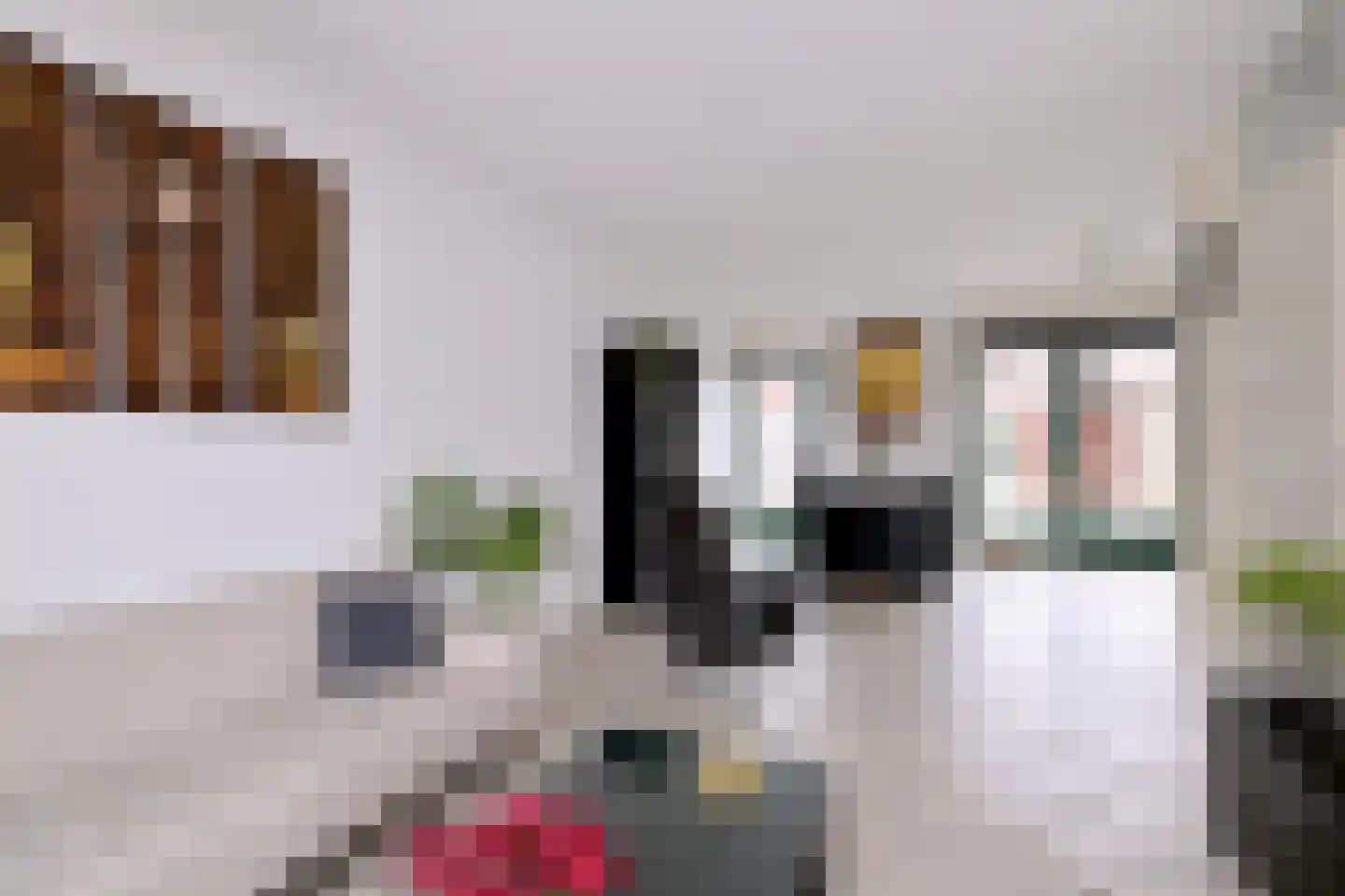 Leonard Springerlaan 404 Deventer thumbnail 6