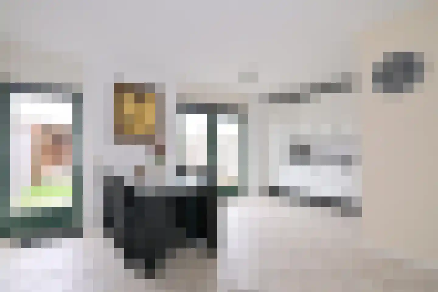 Leonard Springerlaan 404 Deventer thumbnail 7