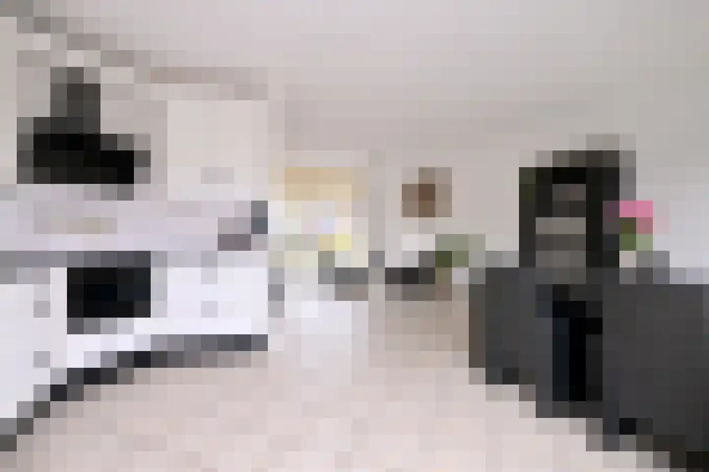 Leonard Springerlaan 404 Deventer thumbnail 9