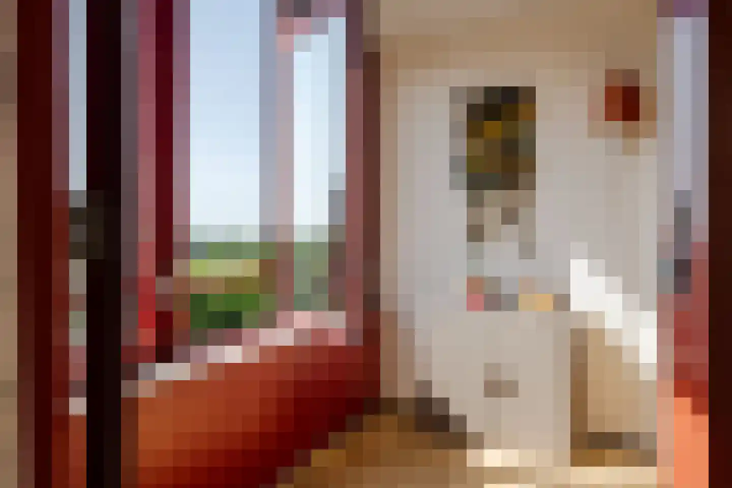Leonard Springerlaan 45 Haarlem thumbnail 19