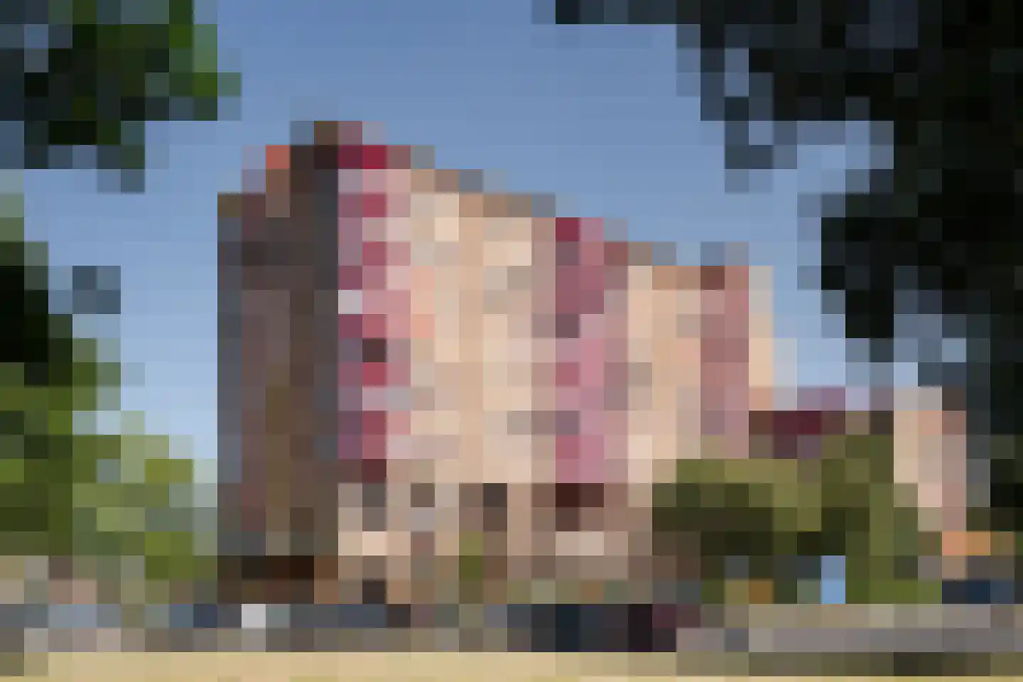 Leonard Springerlaan 45 Haarlem thumbnail 4