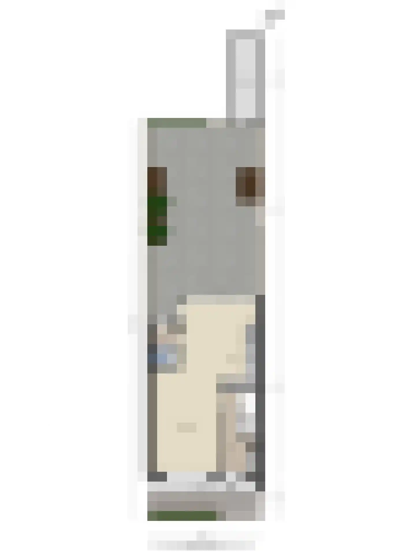 Leonard Springerlaan 460 Deventer thumbnail 38
