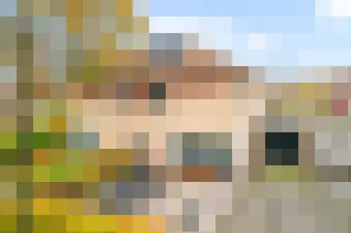 Leonard Springerlaan 50 Deventer