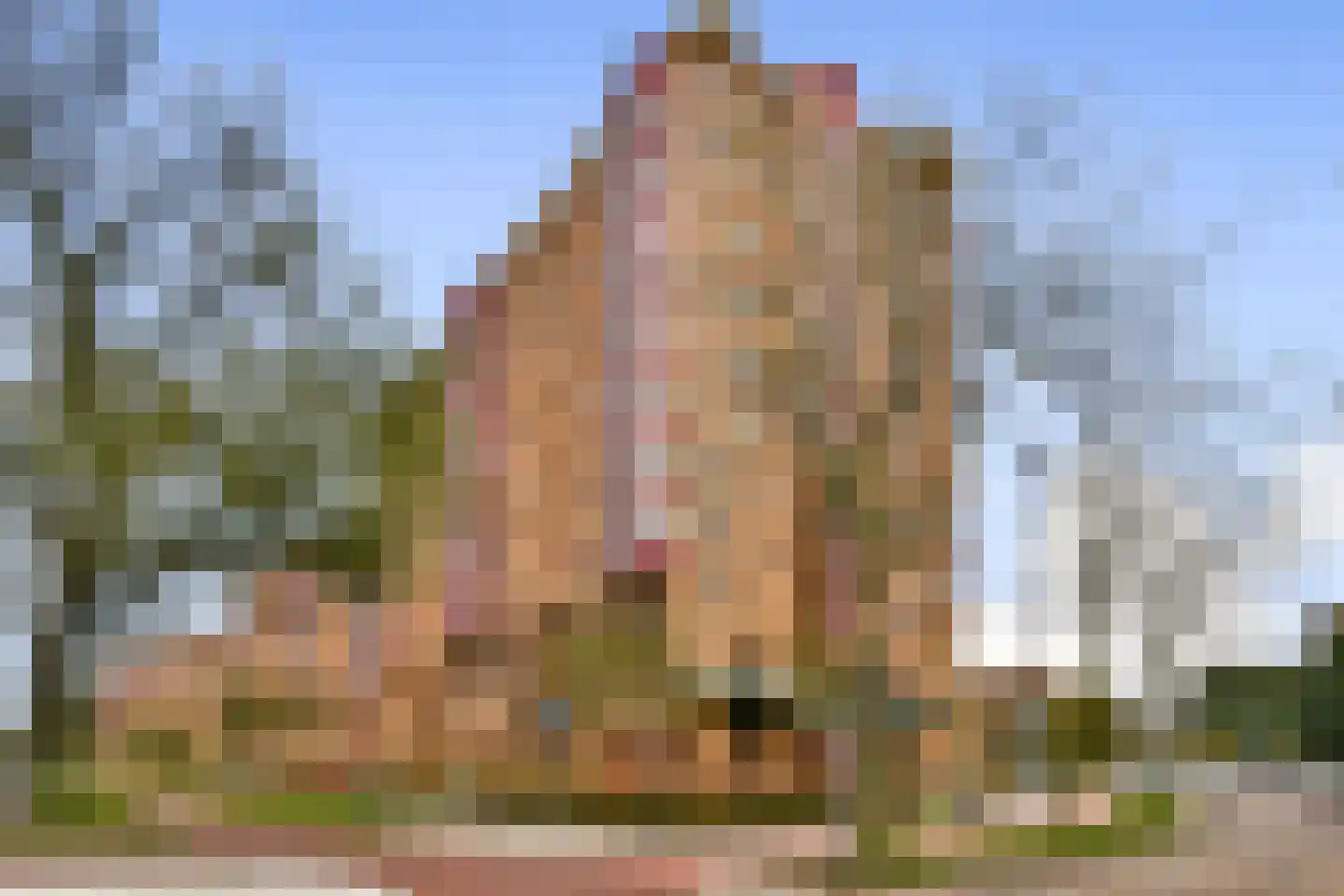 Leonard Springerlaan 53 Haarlem thumbnail 8