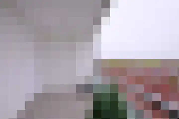 Leonard Springerlaan 63 Deventer thumbnail 21