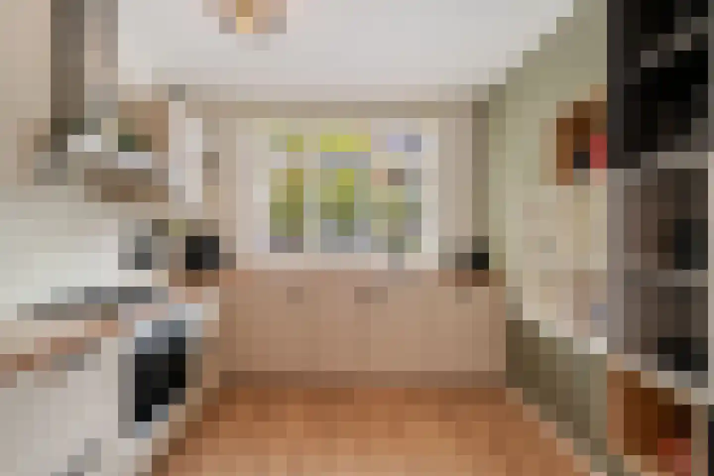 Leonard Springerstraat 23 Waddinxveen thumbnail 13