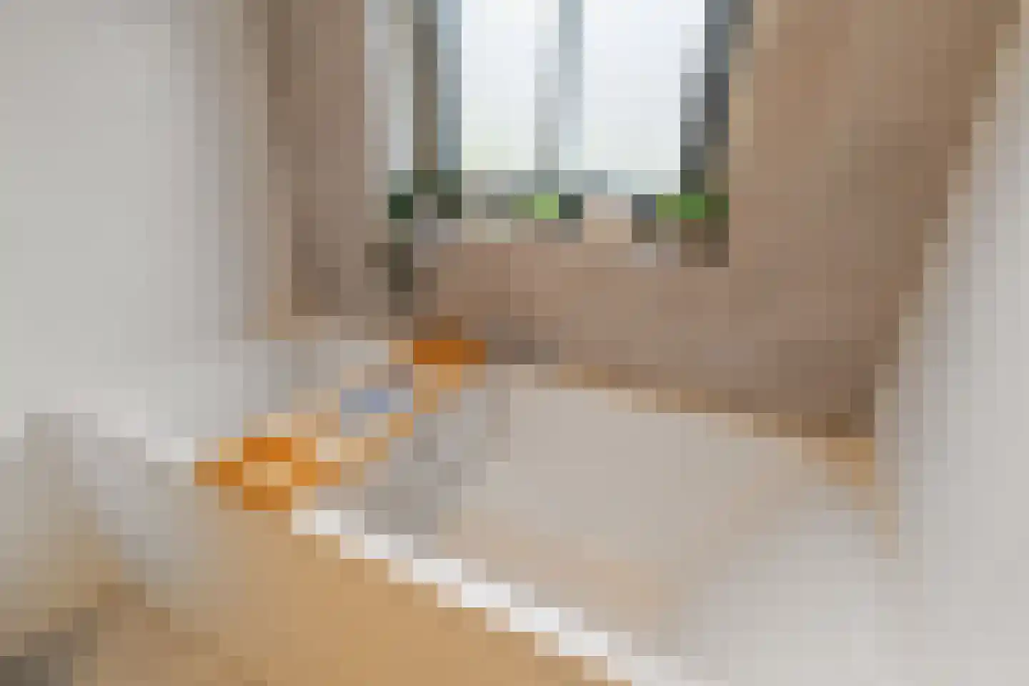 Leonard Springerstraat 23 Waddinxveen thumbnail 23