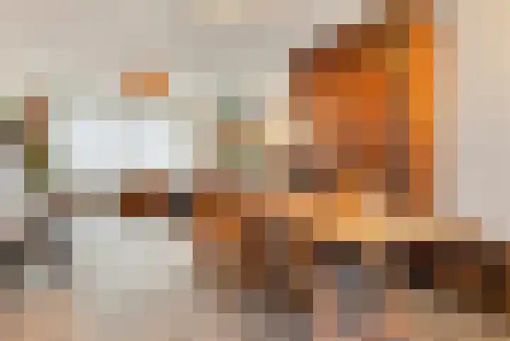 Leonard van Vechelstraat 19 Tilburg thumbnail 12