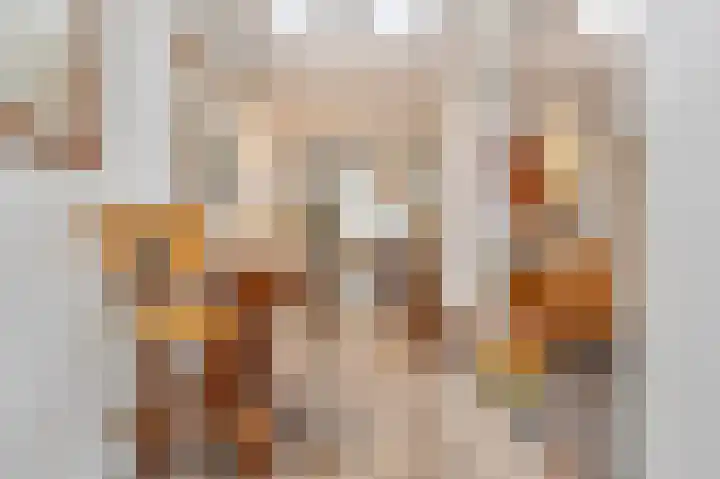 Leonard van Vechelstraat 19 Tilburg thumbnail 13