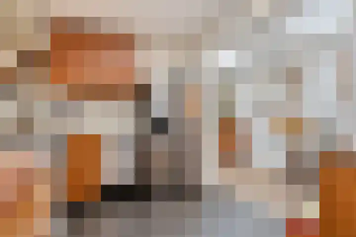 Leonard van Vechelstraat 19 Tilburg thumbnail 18