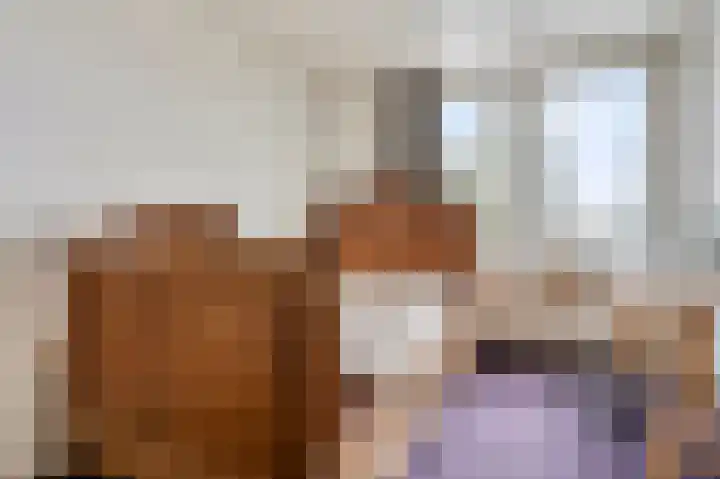 Leonard van Vechelstraat 19 Tilburg thumbnail 25