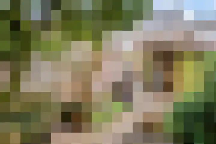 Leonard van Vechelstraat 19 Tilburg thumbnail 36
