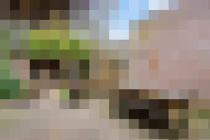 Leonard van Vechelstraat 19 Tilburg thumbnail 39