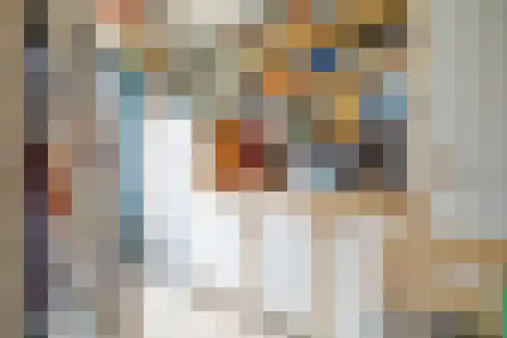 Leonard van Vechelstraat 43 Tilburg thumbnail 11