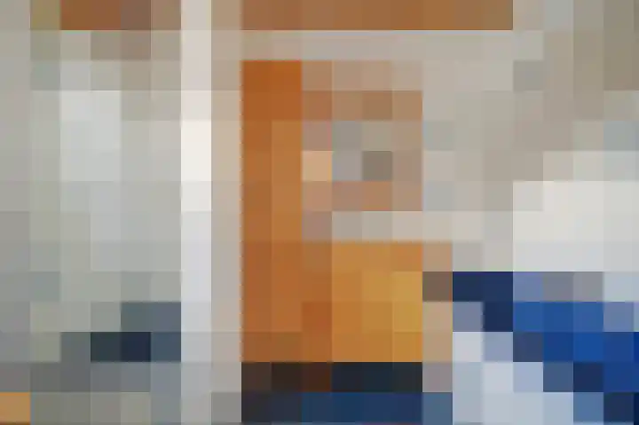 Leonard van Vechelstraat 43 Tilburg thumbnail 17