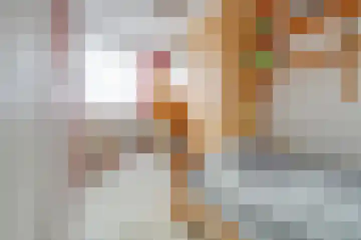 Leonard van Vechelstraat 43 Tilburg thumbnail 21