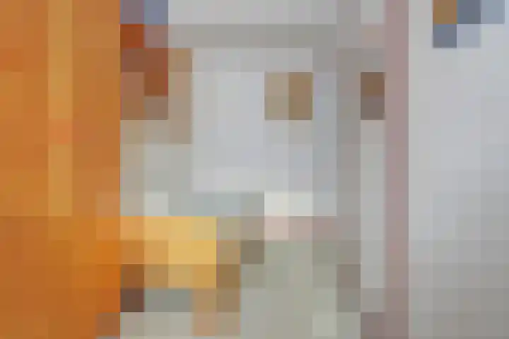 Leonard van Vechelstraat 43 Tilburg thumbnail 22