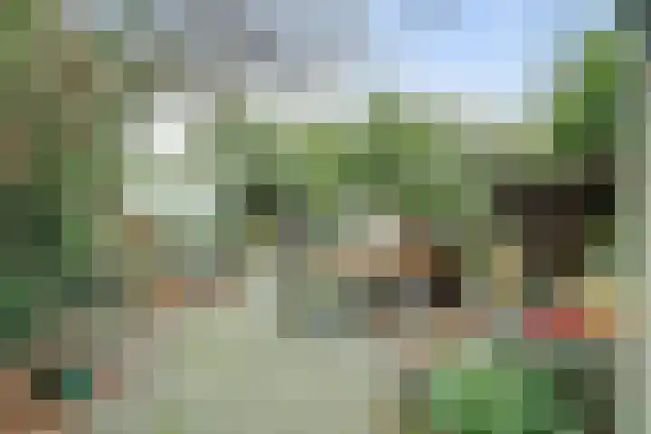 Leonard van Vechelstraat 43 Tilburg thumbnail 26