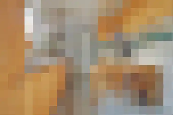 Leonard van Vechelstraat 43 Tilburg thumbnail 7
