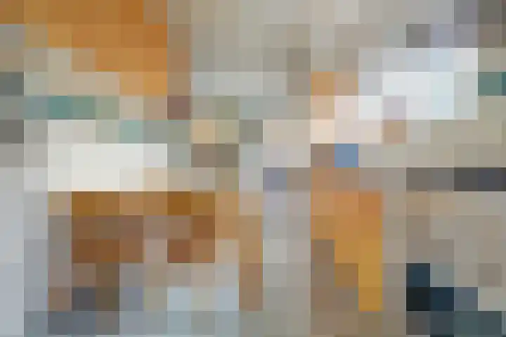 Leonard van Vechelstraat 43 Tilburg thumbnail 9