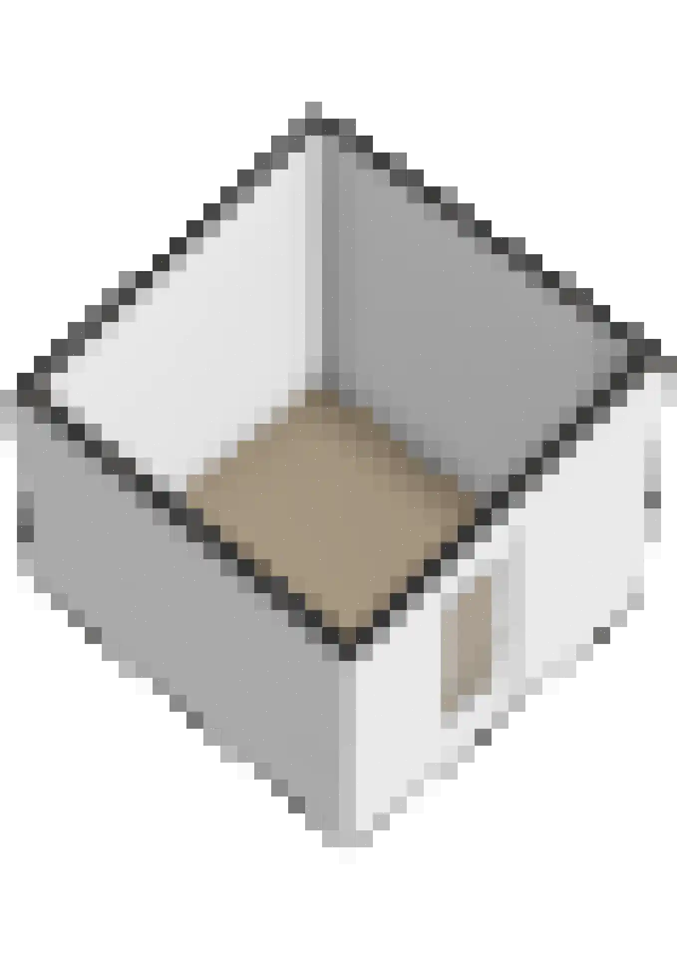 Leonardo da Vincihof 4 Huizen thumbnail 47