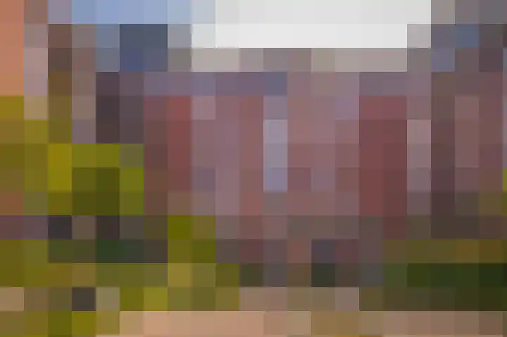 Leonardo da Vinciplein 34 's-Hertogenbosch thumbnail 23