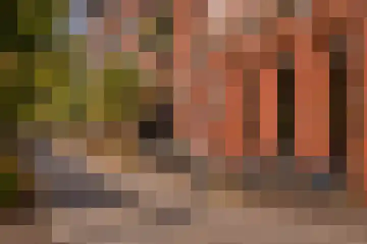 Leonardo da Vinciplein 34 's-Hertogenbosch thumbnail 27