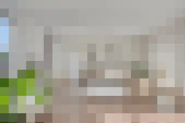 Leonardo da Vinciplein 36 's-Hertogenbosch thumbnail 11